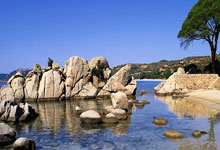 足球直播-法国男篮完美逆袭！横扫塞尔维亚，莫兰特的精彩助攻燃爆全场